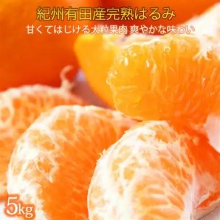 果肉ぷりぷり!完熟はるみ　5kg【日高町】【1217231】