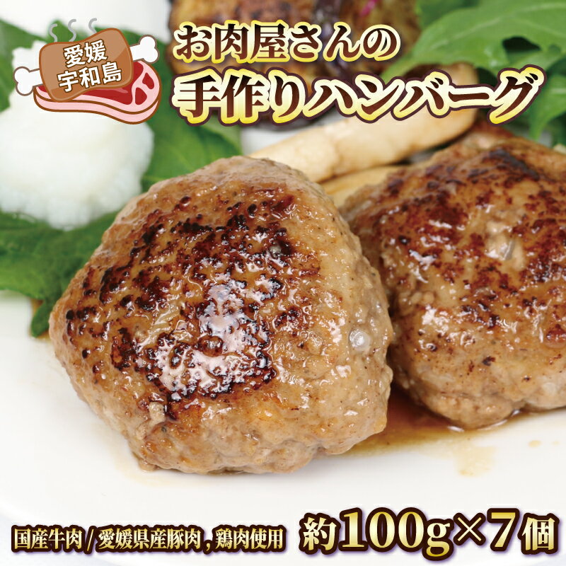 【ふるさと納税】 お 肉屋 さんの 手作り ハンバーグ 泉精肉店 100g × 7個 国産牛肉 豚 鶏肉 合い挽き 肉 お肉 にく 惣菜 おかず お弁当 冷凍 小分け 真空パック 焼くだけ 簡単調理 弁当 和風 デミグラス アレンジ可 国産 愛媛 宇和島 E010-142001