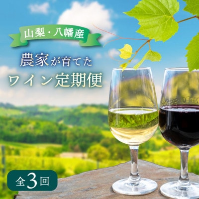 【毎月定期便】山梨 八幡洋酒 白ワイン 赤ワイン 飲み比べ 定期便 ぶどう農家全3回
