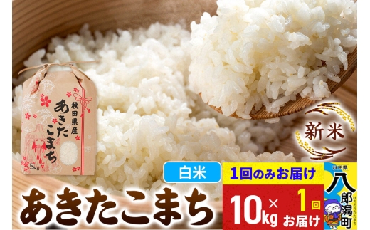 《新米》あきたこまち 10kg 秋田県産 こまちライン [新米 こまちライン あきたこまち ブランド米 お米 白米 精米 無洗米 米どころ 秋田 秋田県産]