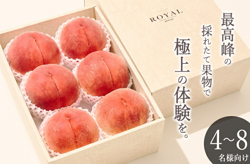 【ふるさと納税】 もも 6個入り 約2.7kg 果物 フルーツ 桃 くだもの 2025年発送 甲州市産 白鳳系 白桃系 大玉 果実 産地直送 数量限定 期間限定 6月 7月 8月 発送 贈答 ギフト 家庭用 自然農法 山梨 甲州市 （BNC） 【C5-452】