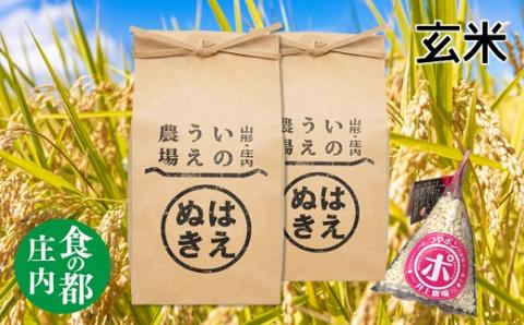 食の都庄内　【令和7年産・玄米】井上農場の特別栽培米はえぬき5kg×2袋+つやポン《井上農場》 [NY2-G01(産直出前便)]