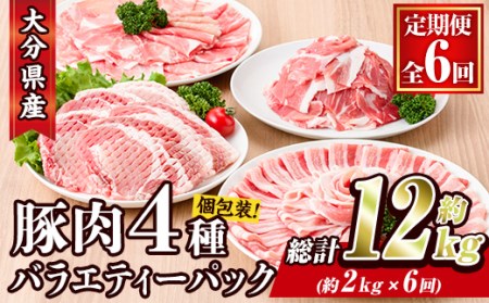 ＜定期便・全6回 (連続)＞豚肉 バラエティーパック (総量12kg・4種) 小分け 豚バラ スライス とんかつ ロース 豚こま しゃぶしゃぶ 鍋 大分県 佐伯市【BD209】【西日本畜産 (株)】