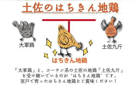 【２～３人前】はちきん地鶏のモモ肉　500ｇカット _ag020 鶏肉 小分け 冷凍 鶏もも肉 6000円
