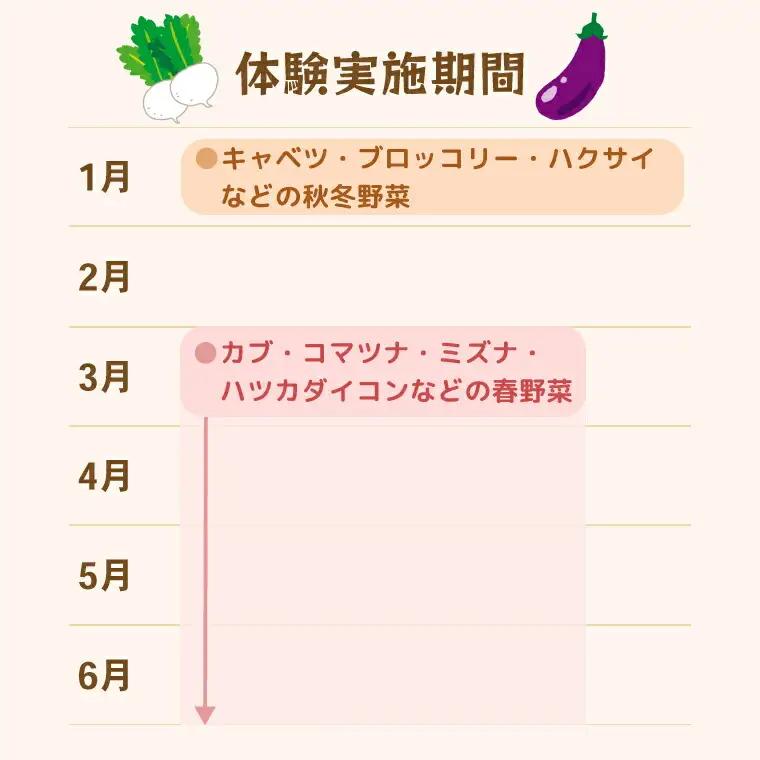 年間を通した野菜作り「土の学校」（1組5名まで） 〈 学び 食育 収穫 農業 野菜 子供 親子 農作物 ふるさと納税 柏 〉