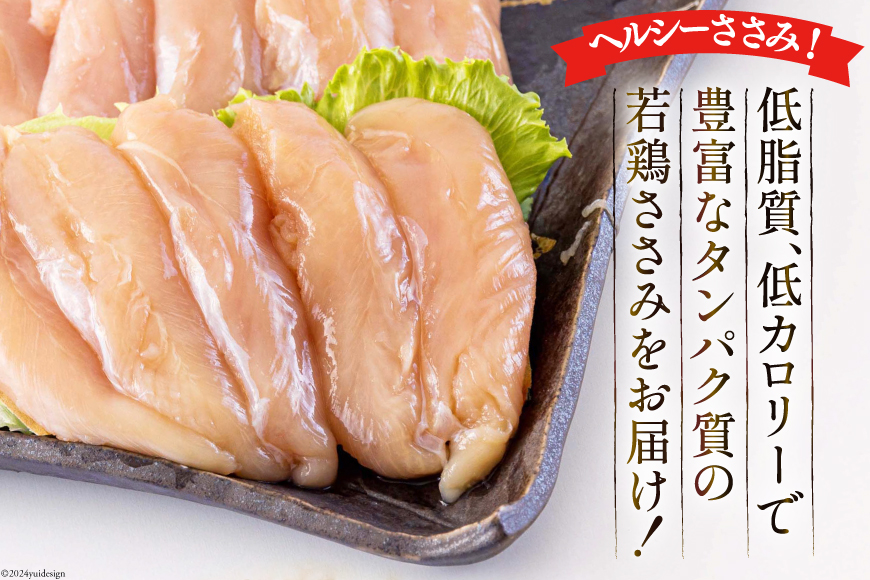 鶏肉 宮崎県産若鶏ささみ1kg×3 計3kg [アグリ産業匠泰 宮崎県 美郷町 31be0038] 冷凍 小分け 個包装 ささみ ササミ 鶏 鶏ささみ 鶏ササミ 若鶏 とりにく 鳥肉_イメージ2