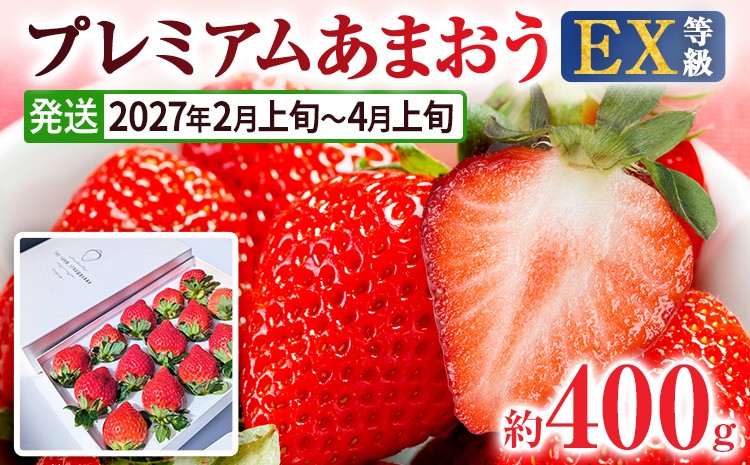
                  【2027年発送先行予約】プレミアム あまおう EX（化粧箱入り）いちご フルーツ 果物 あまおう 約400g×1パック 苺 イチゴ ギフト 贈答用 贈り物 お祝い 祝い 化粧箱 福岡【発送時期2027年2月上旬～2027年4月上旬】
                