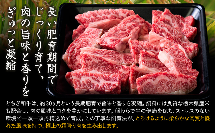 黒毛和牛 とちぎ和牛 焼肉　切り落とし A4〜A5等級 霜降り 赤身 ステーキ 極上 900g 数量限定 牛肉 冷凍 《30日以内に出荷予定(土日祝除く)》 冷凍庫 個別 1kg以内 1kg以上 ブラ