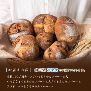 お試しちょこっとパンセット 5種入り | 兵庫県 丹波篠山市 天然酵母 国産小麦 有機 オーガニック パンセット 詰め合わせ お試し 冷凍 CT02-25