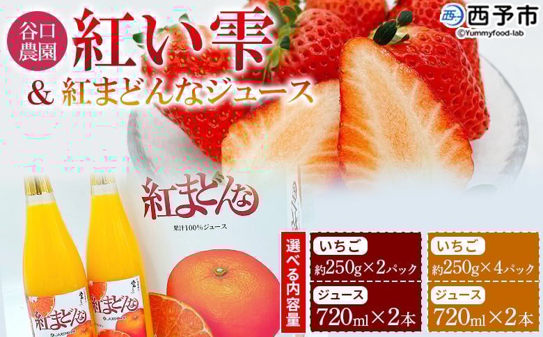 
            谷口農園のいちご「紅い雫」(約250g×2パック／4パック)＆紅まどんなジュース720ml×2本セット イチゴ 果物 フルーツ 紅マドンナ ストレートジュース 果汁100％ フジ・アグリフーズ 愛媛県 西予市【冷蔵】
          