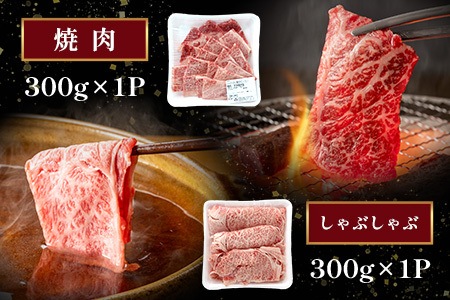 A4・A5 くまもと黒毛和牛 ロース セット 計600g ( すき焼き 300g / 焼肉 300g ) 本場 熊本県 ブランド 牛 黒毛 和牛 厳選 A4以上 肉 上質 熊本県 113-0506