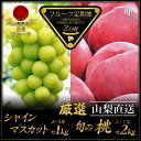 【ふるさと納税】【先行予約】厳選！南アルプス市産『フルーツ定期2回便』　【もも・シャインマスカット】＜出荷開始：2025年6月上旬頃～10月下旬頃＞