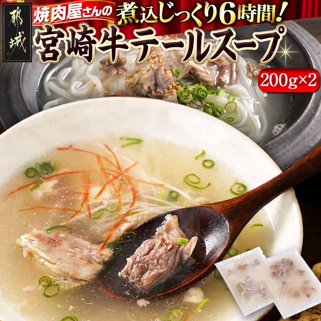 【ふるさと納税】焼肉さこま名物！宮崎牛テールスープ - 宮崎牛テールスープ 200g×2パック 焼肉のさこまの人気メニュー 希少な宮崎牛の尻尾(テール)を使用 冷凍 送料無料 AA-7706 【宮崎県都城市は2年連続ふるさと納税日本一！】