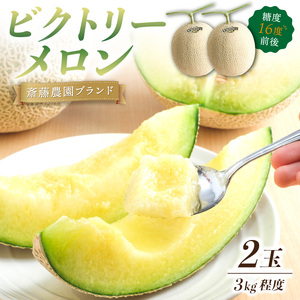 【0248-2】斎藤農園ブランド「ビクトリーメロン」アールスメロン（マスクメロン）2玉3kg程度≪先行予約2026年6月下旬以降発送分≫
