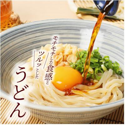ふるさと納税 木城町 養生麺うどん詰合せ 12袋入り |  | 02