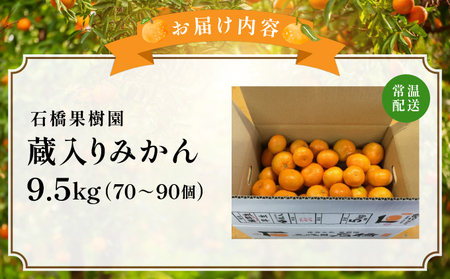 蔵入りみかん9.5kg／ふるさと納税 佐賀 みかん オレンジ フルーツ濃厚 甘い 酸味 大町 贈答 ギフト 贈り物 42ik-004