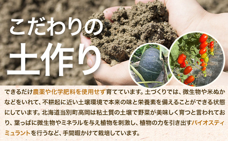 [2-269]　北海道当別町産化学農薬不使用ミニトマト：甘っ子 雅 3kg