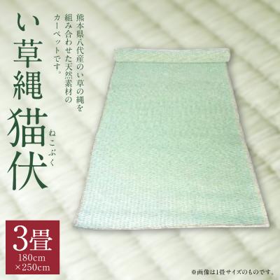 ふるさと納税 八代市 い草縄 猫伏(3畳)1,800mm×2,500mm カーペット ラグ_025-5074