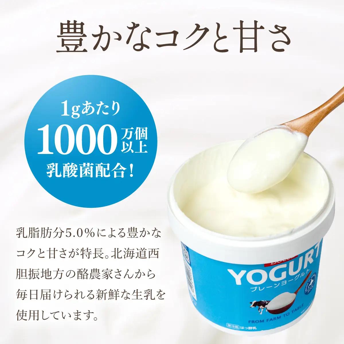 北海道 牧家 Bocca ヨーグルト 500g 6個 計3.0kg【55251206】