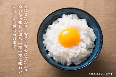 米 10kg 新潟県産 コシヒカリ 令和7年産 奥阿賀 仁一郎 5kg×2袋 | こしひかり 白米 精米 送料無料 お取り寄せ お米 