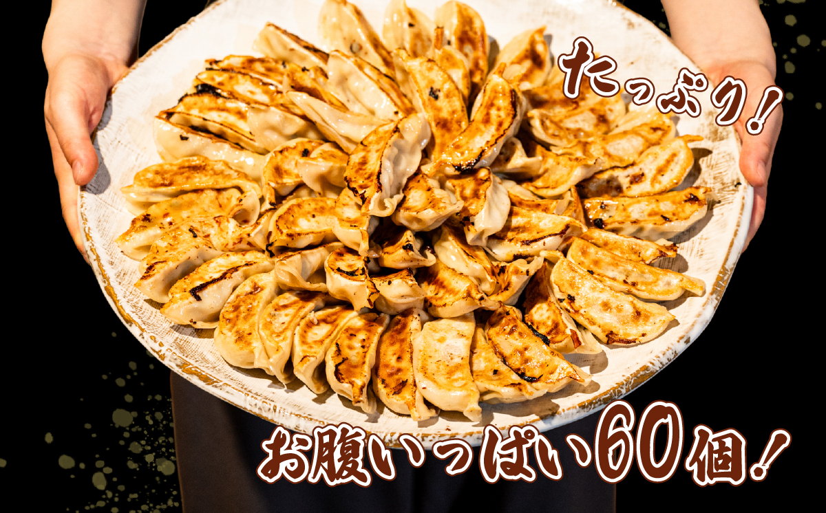 ローズポーク餃子 たっぷり 60個 ( 冷凍 30個 × 2袋)【 茨城県産  ローズポーク 豚肉 キャベツ 北海道産小麦 春よ来 使用 もちもち ぷりぷり 皮 ギョウザ ギョーザ チャオズ 中華 餃