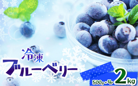 完熟 冷凍ブルーベリー 約 2kg