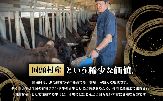 やんばるの自然が育んだ「黒毛和牛 経産牛」切り落とし 合計1kg(500g×2パック)【配送不可地域：離島】【1716771】