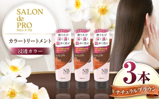 ダリヤ サロンドプロ カラートリートメント 3個セット【ナチュラルブラウン】 / 稲沢市 / 日興商事株式会社 [BMBK003-01]