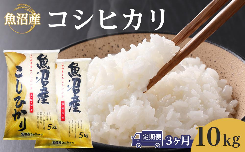 【3ヶ月定期便】令和７年産魚沼産コシヒカリ　10kg　2025年10月～発送開始｜新潟県　魚沼　こしひかり　令和7年産