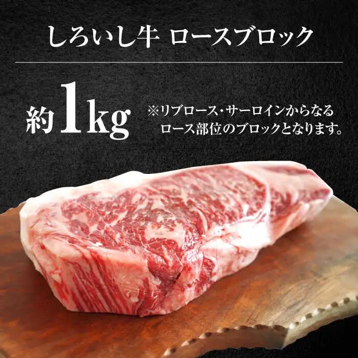  ロースブロック 1000g / 牛肉ブロック [IAH012]