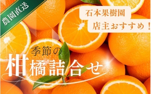 【先行予約】旬の柑橘 詰め合わせ セット 石本果樹園 店主おすすめの柑橘セットをお届け 【2027年1月～4月中に順次発送予定】 / フルーツ 果物 くだもの 柑橘 フルーツセット くだものセット みかん ミカン 温州みかん 不知火 せとか セミノール ポンカン カラマンダリン 甘夏 清見 オレンジ 産地直送 旬 人気 おすすめ 詰め合わせ お楽しみ三重県 紀宝町【min011】