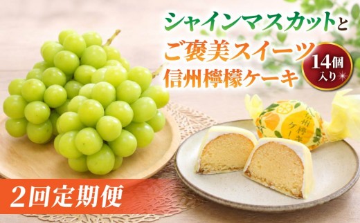 【2回定期便】高評価！シャインマスカットとご褒美スイーツ定期便（シャインマスカット 2房/信州檸檬ケーキ14個）｜【JA信州うえだ/御菓子処花岡】ぶどう 葡萄 大粒 果物 フルーツ 菓子 頒布会 長野