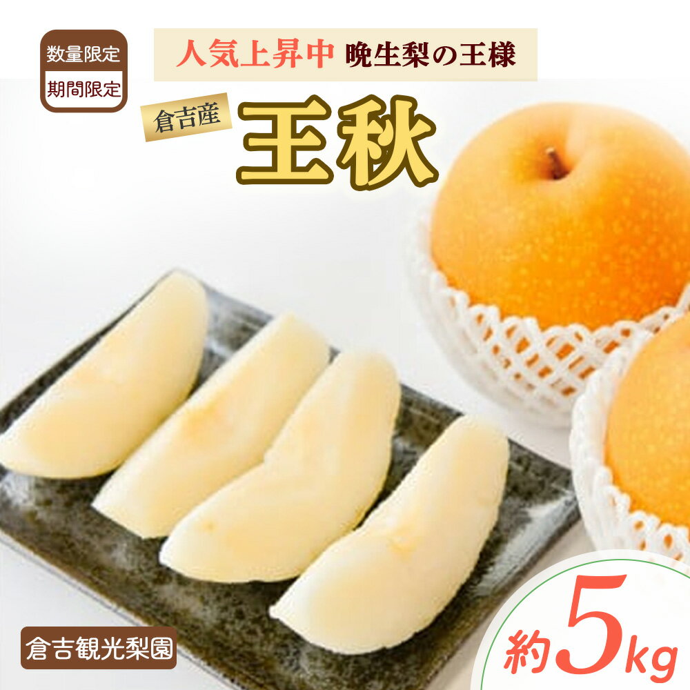 【ふるさと納税】 数量限定 王秋 5kg 【倉吉産】 倉吉観光梨園 梨 ナシ なし ブランド梨 王秋 おうしゅう 鳥取 果物 フルーツ 和梨 先行予約 数量限定 詰め合わせ 人気 甘い