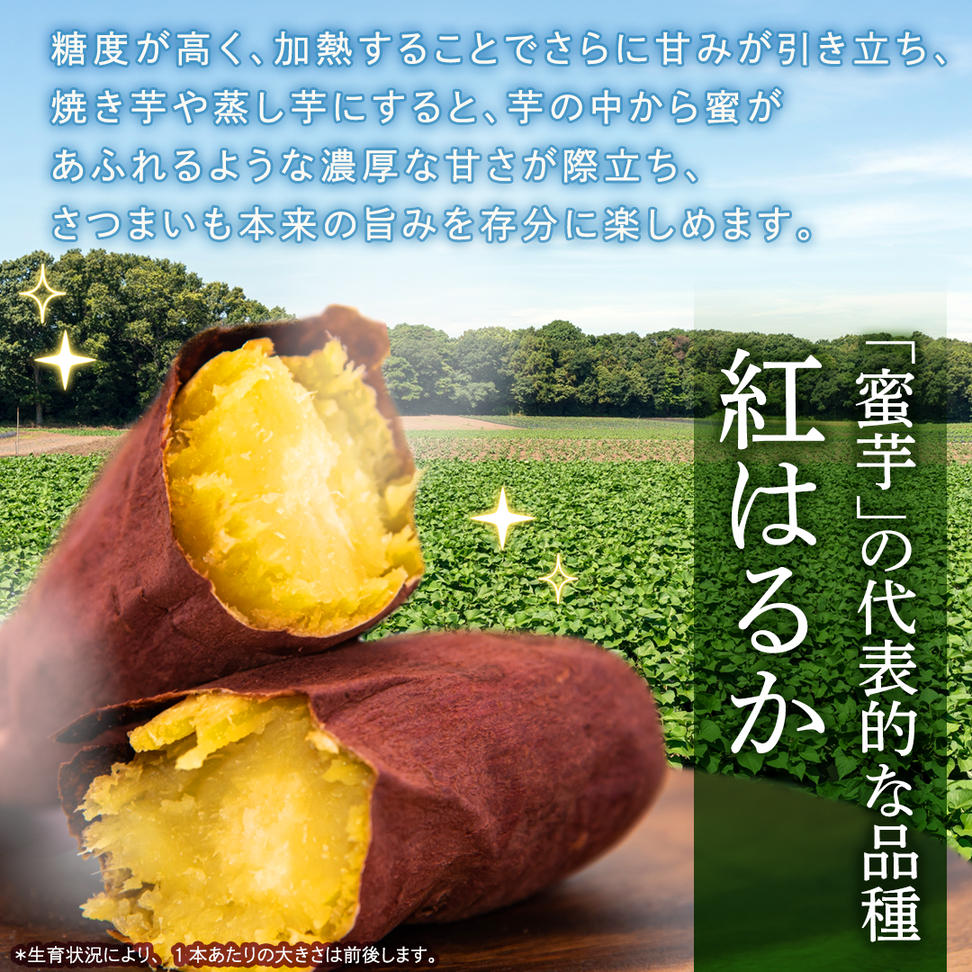 紅はるか 約 2.5kg （3回 定期便 ）（茨城県共通返礼品 [さつ