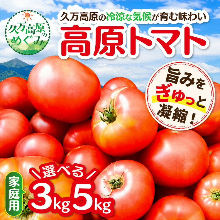 【ふるさと納税】＼選べる内容量／【家庭用】高原トマト｜愛媛県久万高原町産 特別栽培 産地直送 旬 夏野菜 甘み 旨み 新鮮 採れたて　※2026年7月～発送