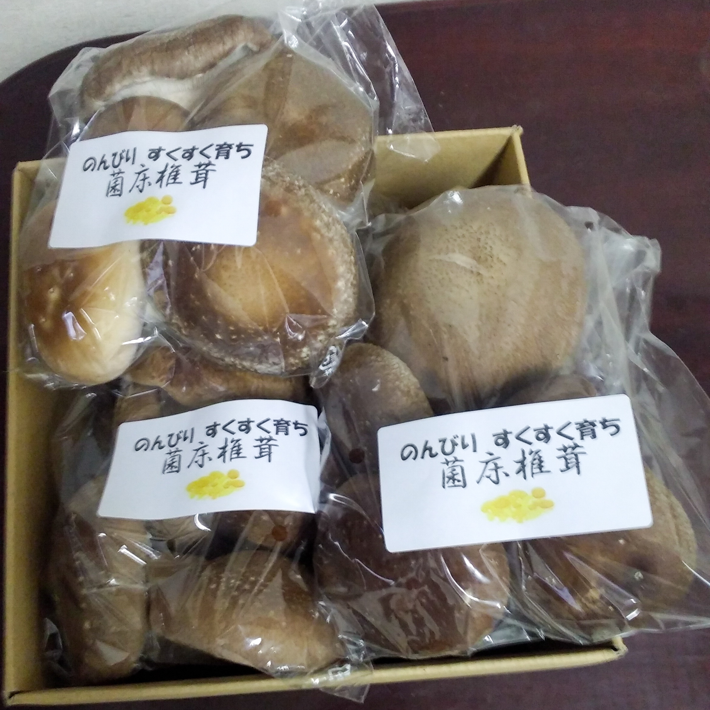 【先行予約】生椎茸 5袋セット 計 1kg以上 のんびりすくすく育った 菌床しいたけ｜生しいたけ 生シイタケ しいたけ きのこ キノコ 茸 野菜 京都 国産 肉厚 訳あり ※2024年10月上旬頃より