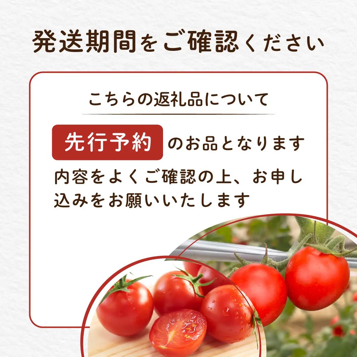 【先行予約】【発送期間は5月中旬～7月中旬、9月上旬～11月下旬】新鮮でフルーティーな小川ファームのミニトマト2.5kg(12パック入り)