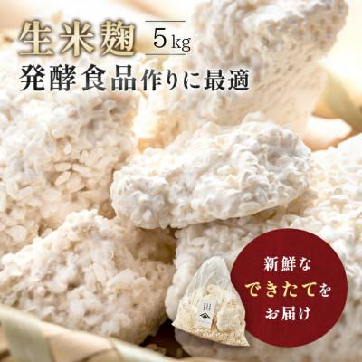 ふるさと納税 矢吹町 生米麹5kg　塩麹、生甘酒、醤油糀、味噌などの発酵食品作りに!安心安全の無添加!
