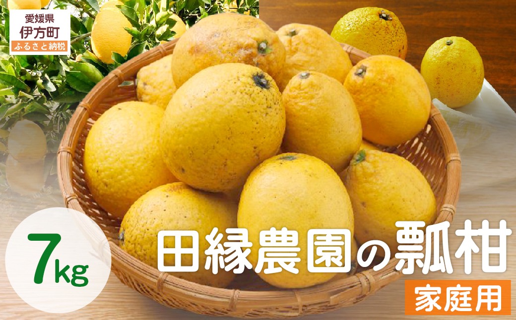 【数量限定】家庭用 瓢柑(7kg) 訳あり ※北海道・沖縄・離島への配送不可 への配送不可 （2026年4月1日より順次発送） IKTA021