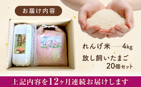 【先行予約】【全12回定期便】令和7年度新米4kg・放し飼いたまご20個セット ヒノヒカリれんげ米 元気たまご【浅田峠自然塾】[EA22]