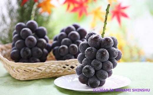 A-20 ＜先行受付＞ぶどう ピオーネ 約2kg【2～5房】※2026年9月中旬～9月下旬発送予定※