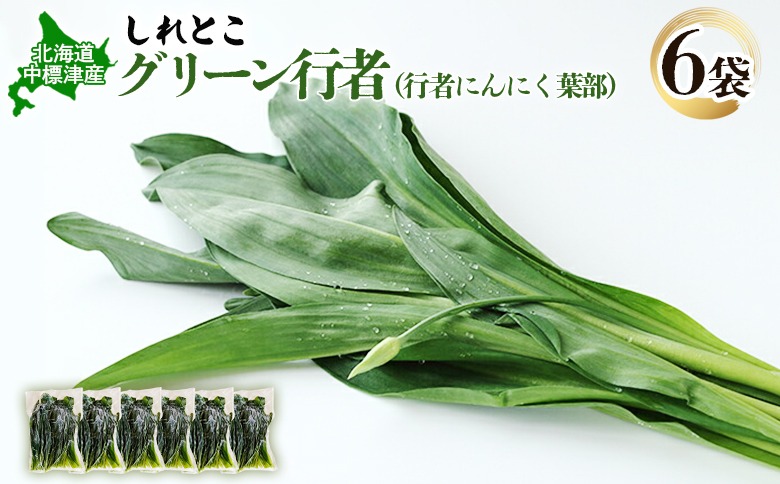 行者にんにく グリーン行者 葉部 6袋 オンライン 申請 ふるさと納税 北海道 中標津 行者ニンニク 幻の山菜 山菜 山の幸 野菜 疲労回復 健康効果 長寿 体力増強 ダイエット効果 焼肉 卵とじ トッピング おひたし おかず 冷凍 中標津町【2001101】