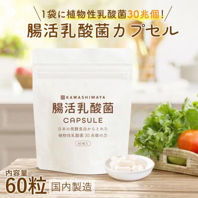 ふるさと納税 瑞穂町 日本の発酵食品からとれた「腸活乳酸菌カプセル」60粒×1袋(1袋:18g)