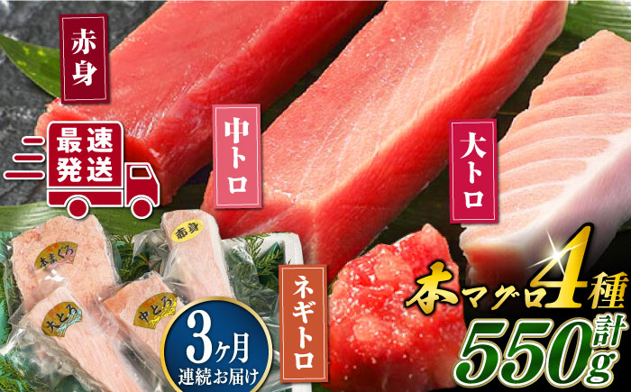【全3回定期便】対馬産 本マグロ 4種 計550g（赤身/中トロ/大トロ/ネギトロ）《対馬市》【対海】[WAH015] マグロ まぐろ 鮪 本鮪 本マグロ 養殖 トロ 中トロ 中とろ 大トロ 大とろ 赤身 ねぎとろ ネギトロ たたき 刺身 冷凍 海鮮 魚 柵 お祝い 贈答 定期便 毎月届く