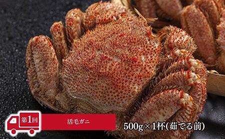 【先行予約】令和6年5月発送開始　かに太郎 定期便Dセット（毛ガニ、アスパラ、赤肉メロン、白くまコーン）全4回