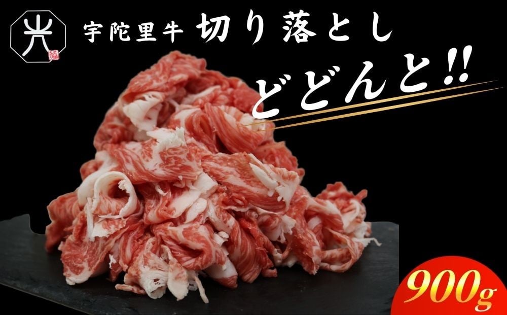 
                  チルド 大和 宇陀里牛 切り落とし ドドンと 約900g ／ふるさと納税 ふるさと 牛肉 肉 和牛 料理 奈良県 宇陀市 光福久屋
                