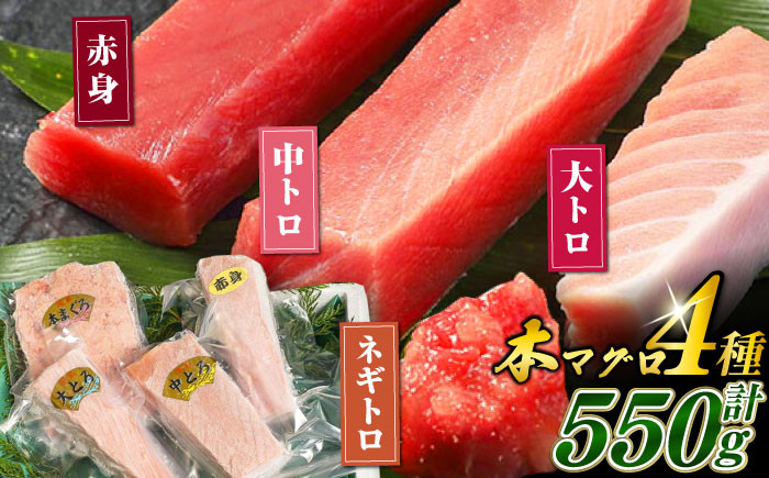 
            対馬産 本マグロ 4種 計550g（赤身/中トロ/大トロ/ネギトロ）《対馬市》【対海】[WAH003] マグロ まぐろ 鮪 本鮪 本マグロ 養殖 トロ 中トロ 中とろ 大トロ 大とろ 赤身 ねぎとろ ネギトロ たたき 刺身 冷凍 海鮮 魚 柵 お祝い 贈答
          