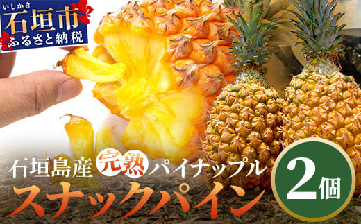 
《2025年4月～6月発送》最高糖度18度！？ 石垣島産完熟スナックパイン 2個セット 【 沖縄県 石垣市 石垣島 完熟 パイン パイナップル スナック 産地直送 】TF-23
