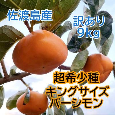 ふるさと納税 佐渡市 佐渡島の希少柿　幻のキングサイズパーシモン　訳あり品　9kg