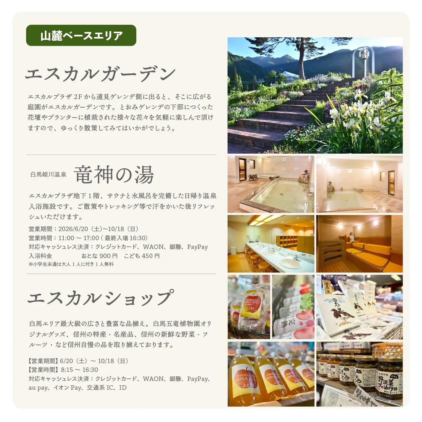 【体験チケット】白馬五竜パノラマセット ゴンドラ往復乗車券 大人1名様 / 長野県白馬村